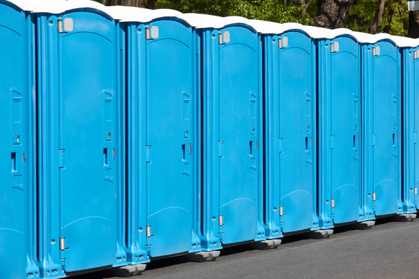 Best Portable Restroom Maintenance and Cleaning  in Lake Hallie, WI